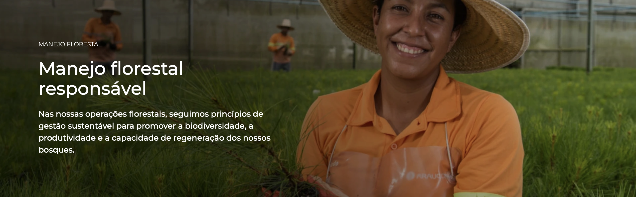 Conheça e acompanhe online o Plano Estratégico Socioambiental (PES) – Projeto Sucuriú